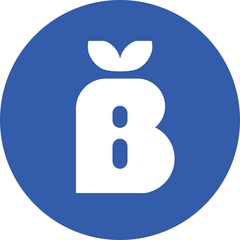 BinSight logo